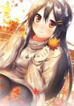  alternate_costume autumn autumn_leaves black_hair blush closed_mouth commentary_request hair_between_eyes hair_ornament hairclip haruna_(kantai_collection) kantai_collection long_hair looking_at_viewer panties panties_under_pantyhose pantyhose red_eyes sitting smile solo suou_sakura underwear 