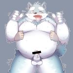  2016 anthro balls belly blue_fur blush canine erection fur humanoid_hands male mammal moobs one_eye_closed overweight overweight_male park_kr penis simple_background solo wink wolf 