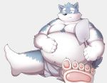  2017 anthro belly black_nose blush canine clothing humanoid_hands male mammal moobs navel nipples overweight overweight_male park_kr shorts simple_background sitting solo wolf 