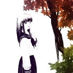  1girl autumn_leaves bangs black_hair black_sailor_collar black_skirt greyscale hand_up highres leaf long_hair long_sleeves looking_at_viewer monochrome nazoani_museum original pleated_skirt sailor_collar school_uniform serafuku shirt skirt solo spot_color tree upper_body white_background white_shirt 