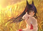  absurdres animal animal_ears azur_lane bangs bare_shoulders blurry blurry_background blush brown_eyes brown_hair closed_mouth commentary_request daitai_sotogawa_(futomomo) depth_of_field detached_sleeves eyebrows_visible_through_hair field fox fox_ears hair_ornament hand_up highres long_hair looking_at_viewer looking_to_the_side nagato_(azur_lane) outdoors solo sunset tassel very_long_hair white_sleeves 