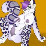  dickgirl feline herm intersex invalid_tag leopard mammal nipples penis piercing snow_leopard 