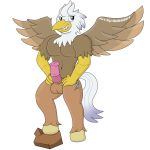  2018 alpha_channel anthro avian balls beak cutie_mark digital_media_(artwork) english_text equine erection feathers fur hair hi_res hippogryph hoove hybrid invalid_tag male mammal muscular muscular_male my_little_pony notkastar penis rock signature silver_quill_(character) sketch smile solo text wings 