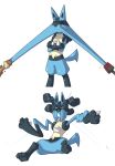  2014 ambiguous_gender dlrowdog lopunny lucario nintendo pok&eacute;mon pok&eacute;mon_(species) solo_focus stretchy sweat video_games zoroark 