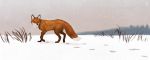  2017 brown_fur canine day digital_media_(artwork) feral fox fur mammal outside paws snow solo standing x-zelfa 