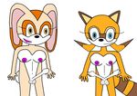  cream_the_rabbit marine_the_raccoon masteraccount sonic_team tagme 