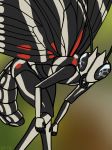  2018 ambiguous_gender antennae anthro arthropod bent_over black_eyes butterfly compound_eyes insect insect_wings markings multicolored_exoskeleton multicolored_wings simple_background skelebee solo wing_markings wings zebra_longwing 