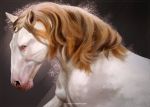  2018 ambiguous_gender brown_hair digital_media_(artwork) equine feral greame hair horse mammal simple_background solo 