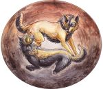  2016 aurru canine duo feral mammal standing 