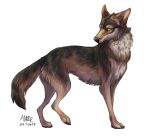 2017 alpha_channel aurru black_nose brown_fur canine digital_media_(artwork) feral fur green_eyes mammal simple_background solo standing transparent_background wolf 