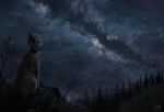  2017 aurru digital_media_(artwork) feline feral grass mammal paws sitting sky solo star starry_sky 