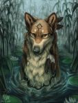 2017 ambiguous_gender aurru black_nose brown_eyes brown_fur canine detailed_background digital_media_(artwork) fur mammal partially_submerged water wolf 