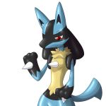  2013 dlrowdog lucario nintendo pok&eacute;mon pok&eacute;mon_(species) red_eyes smile video_games 