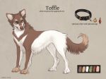  2018 aurru brown_fur canine collar digital_media_(artwork) dog feral fur green_eyes mammal model_sheet paws solo standing white_fur 