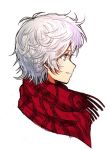  bangs blue_eyes character_request closed_mouth commentary_request copyright_request from_side male_focus mizu_ramen plaid plaid_scarf portrait profile red_scarf scarf simple_background solo white_background white_hair 