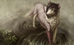  2018 ambiguous_gender aurru canine digital_media_(artwork) dog feral fur hair heterochromia mammal pink_fur pink_nose solo standing water white_fur 