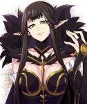  breasts brown_hair detached_sleeves expressionless fate/apocrypha fate_(series) fur_collar hand_up large_breasts long_hair pointy_ears semiramis_(fate) yellow_eyes zonfgs 