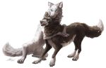 2018 alpha_channel aurru black_fur canine digital_media_(artwork) duo feral fur mammal simple_background standing transparent_background white_fur wolf 