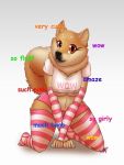  areola areola_slip armwear breasts canine clothing compression_artifacts dog doge english_text eyelashes female fluffy fluffy_tail green_eyes kneeling legwear mammal meme nipples shiba_inu signature source_request stockings striped_legwear striped_stockings stripes text under_boob unknown_artist unknown_artist_signature 