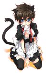  animal_ears blue_eyes brown_hair cat_ears cat_tail crossdressing kuroba_kaito maid male_focus meitantei_conan otoko_no_ko solo tail thighhighs toujou_sakana 