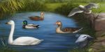  2018 avian bird detailed_background digital_media_(artwork) duck feral goose grass group kur0i kuroi-kisin seagull 