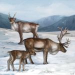  2018 antlers cervine digital_media_(artwork) female feral group horn kur0i kuroi-kisin male mammal reindeer snow standing 