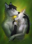  2018 5_fingers anthro black_hair black_lips black_nose breasts canine digital_media_(artwork) duo eyes_closed featureless_breasts female green_background hair kur0i kuroi-kisin love male mammal nude romantic_couple simple_background wolf 