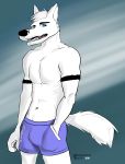  2018 anthro black_nose briefs bulge canine clothing digital_media_(artwork) dog fur hi_res looking_at_viewer male mammal muscular muscular_male open_mouth prometheusblack smile solo standing underwear unknown_character white_fur 