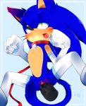  anthro armwear blush cat claws clitoris clothing collar cuntboy dildo elbow_gloves feline fur gloves green_eyes half-closed_eyes hedgehog hybrid intersex jayaero jingle_bell jinglebell legwear mammal penetration pussy pussy_juice sex_toy simple_background solo sonic_(series) sonic_the_hedgehog spreading stockings vaginal vaginal_penetration whiskers 