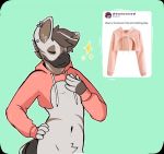  5_fingers anthro brown_hair equine hair male mammal meme navel piercing psydoux pubes simple_background solo twitter_hoodie zebra 