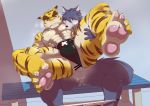  abs absurd_res anal balls blush canine censored clothing dog feline hi_res husky kouya_(morenatsu) male male/male mammal morenatsu muscular muscular_male nipples pawpads pecs rotton sex speedo swimsuit tiger torahiko_(morenatsu) underwear underwear_aside 