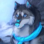  2018 black_nose blue_eyes canine day detailed_background digital_media_(artwork) dog inkrend mammal outside scarf snow snowing 