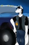  1980s 2017 adams_apple anthro belt black_hair black_nose black_shirt blue_eyes canine charlie_daniels clothed clothing daryl_mccuiston ford fur hair inner_eye-fluff jacket jean_jacket jean_vest jeans lifted_truck looking_at_viewer male mammal mullet pants paradise_university playlist shirt sleeveless_jacket smile smirk truck vehicle white_fur wind_blowing_in_hair wolf yumigarri 