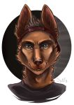  canine danawolfin dog fur male mammal portrait solo 