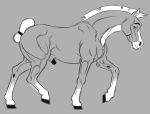  2018 anatomically_correct anatomically_correct_penis animal_genitalia animal_penis beasteros blaze_(marking) brown_eyes concorde equine equine_penis eyebrows feral flaccid flirting fur grey_background grey_fur greyscale hair hooves horse inviting limp_penis looking_at_viewer mammal mane markings monochrome muscular penis pony precum seductive signature simple_background sketch smile socks_(marking) solo star_stable_online starshine_legacy tail_wraps walking white_hair white_mane white_markings wraps 