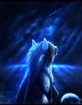  2018 black_bars blue_theme canine detailed_background digital_media_(artwork) feral hydlunn mammal night outside sitting solo 