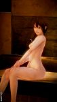  1girl 3d breasts brown_hair female female_only gintama highres honey_select illusion illusion_soft looking_at_viewer mutsu_(gintama) navel nipples nude red_eyes small_breasts solo solo_female solo_focus uncensored 
