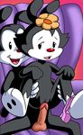  animaniacs dot_warner tagme yakko_warner 