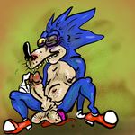  cum dildo feces hedgehog male mammal nightmare_fuel penis scat sega sex_toy solo sonic_(series) sonic_team sonic_the_hedgehog van-weasel van_weasel 