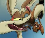  crossover disney looney_tunes the_lion_king timon wile_e_coyote 
