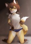  2019 absurd_res akamu_ver20 amber_eyes anthro blush breasts breath brown_fur brown_hair canid canine clothed clothing female fluffy fox fur hair hi_res holding_tail inside kneeling looking_at_viewer mammal open_mouth panties panty_pull shirt short_hair solo tan_fur underwear white_fur 
