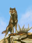  2019 black_nose brown_fur canid canine canis coyote day detailed_background feral fur mammal outside paws shinigamigirl sky solo standing 