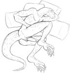  anthro beastars gosha_(beastars) komodo_dragon lizard male mature_male monitor_lizard nude old penis pillow reptile scalie simple_background sketch solo thegreatmatsutzu 