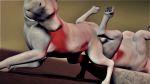  16:9 3d_(artwork) ambiguous_penetration animated canid canine canis digital_media_(artwork) domestic_dog female feral feral_on_feral grinding hot_dogging loop mammal penetration rubbing sex tribadism trioami260 