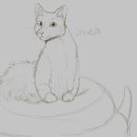  2019 digital_media_(artwork) doggo:3 domestic_cat felid feline felis feral gelus hi_res hybrid male mammal paws reptile scalie snake snake_tail solo 