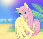  2014 angel_(mlp) arareroll beach equid equine feathered_wings feathers female feral fluttershy_(mlp) friendship_is_magic lagomorph mammal my_little_pony outside pterippus rabbit sea seaside sky solo water wings 
