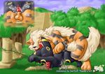  arcanine pokemon tagme umbreon 