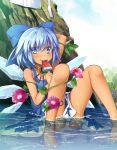  1girl arm_behind_head arm_up bangs bare_arms bare_legs bare_shoulders barefoot blue_bow blue_dress blue_eyes blue_hair blue_sky blush bow chima_q choker cirno cloud commentary_request day dress eyebrows_visible_through_hair feet_out_of_frame flat_chest flower food hair_between_eyes hair_bow highres holding holding_food ice ice_wings knees_up leaf looking_at_viewer outdoors panties pantyshot pantyshot_(sitting) partially_submerged pinafore_dress pink_flower plant popsicle red_choker red_ribbon ribbon ribbon_choker rock shirt shirt_removed short_hair sitting sky sleeveless sleeveless_dress smile solo sunflower tan tanline tanned_cirno thighs touhou underwear vines water watermelon_bar wet white_panties white_shirt wings 