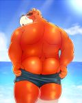  2013 anthro butt clothing humanoid_hands male mammal outside overweight overweight_male solo swimsuit undressing ursid water ブン太 