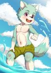  absurd_res anthro bandage blush canid canine clothed clothing cloud cub hi_res male mammal navel open_mouth purple_eyes ritorutaiga shorts solo topless water young 